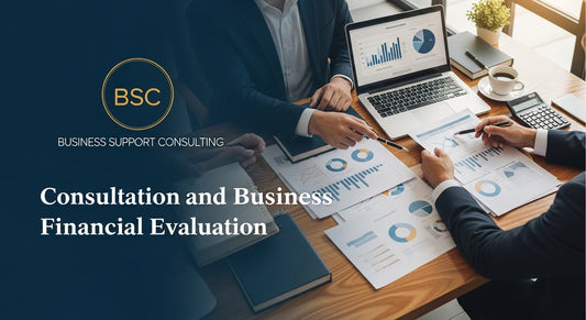 CONSULTATION AND BUSINESS FINANCIAL EVALUATION